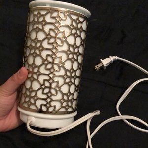 Wax warmer and melts